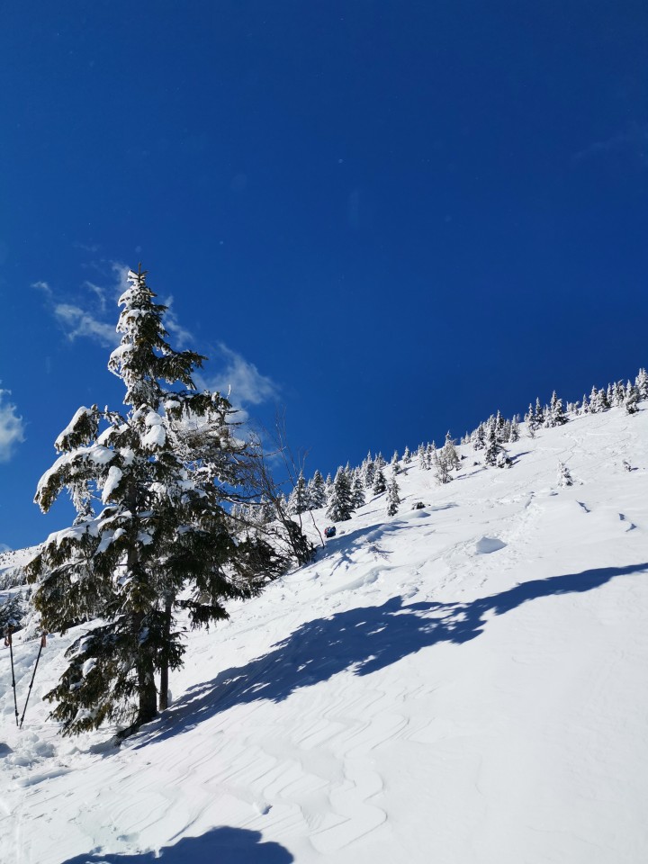 Radušnik-Koča na Loki-Raduha-14.2.2021 - foto povečava