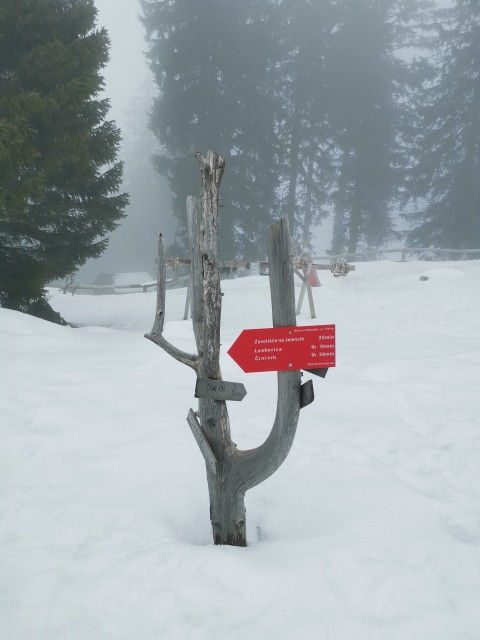 Leskovica-Blegoš-Koča-Zav. Jelenci-20.2.2021 - foto