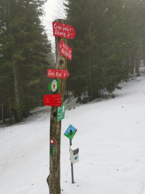 Leskovica-Blegoš-Koča-Zav. Jelenci-20.2.2021 - foto