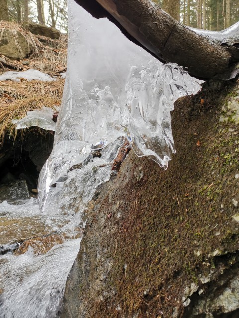 Leskovica-Blegoš-Koča-Zav. Jelenci-20.2.2021 - foto