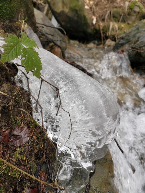 Leskovica-Blegoš-Koča-Zav. Jelenci-20.2.2021 - foto