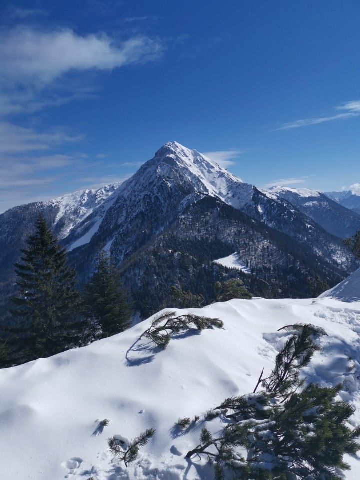 Gozd-Tolsti vrh-Koča na Kriški gori-21.3.2021 - foto povečava