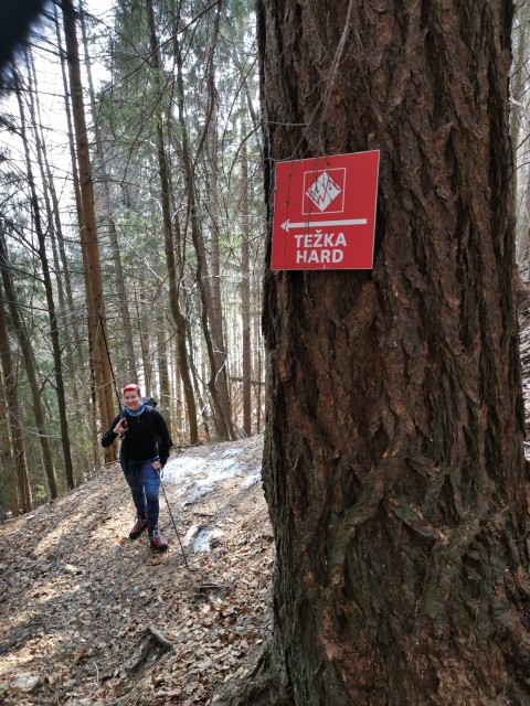 Kranjska Gora-Mojčin dom-Cipernik-27.3.2021 - foto