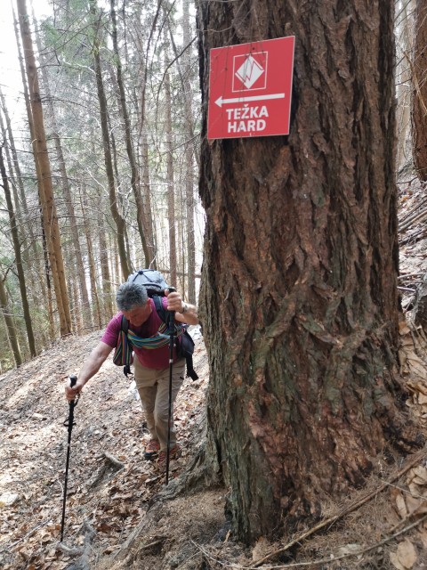 Kranjska Gora-Mojčin dom-Cipernik-27.3.2021 - foto