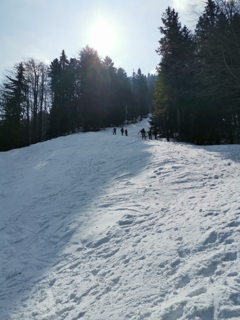 Kranjska Gora-Mojčin dom-Cipernik-27.3.2021 - foto