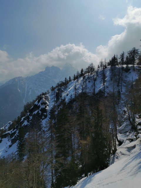 Kranjska Gora-Mojčin dom-Cipernik-27.3.2021 - foto