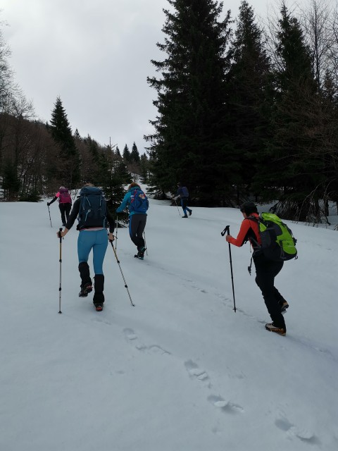 Soriška pl.-Dravh-Lajnar-Slatnik-Možic-8.5.21 - foto