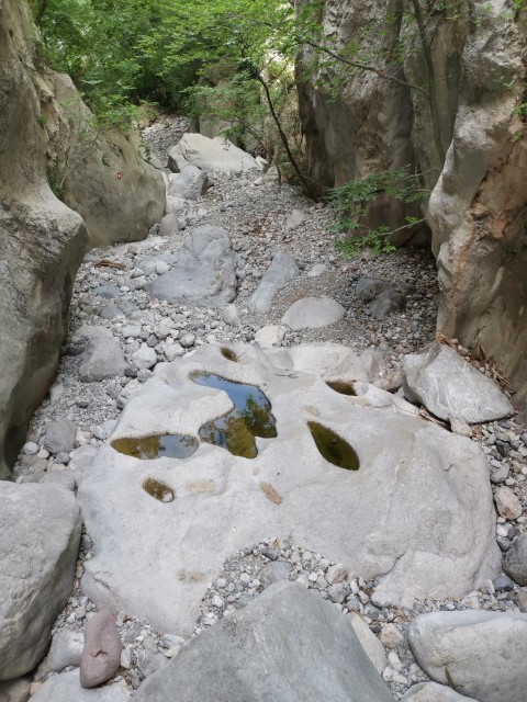 Paklenica-Tulove grede-Plitvice-10-13.6.21 - foto
