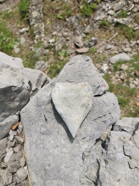 Paklenica-Tulove grede-Plitvice-10-13.6.21 - foto