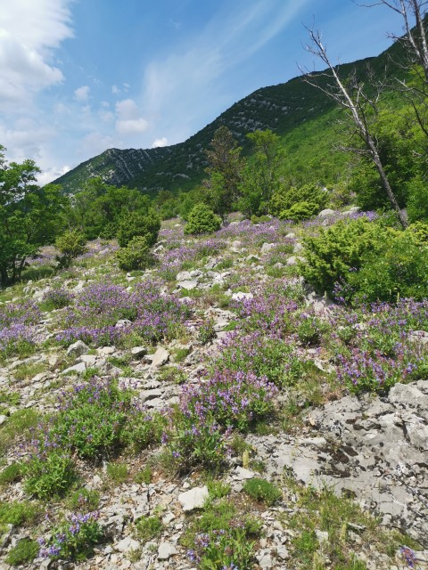 Paklenica-Tulove grede-Plitvice-10-13.6.21 - foto