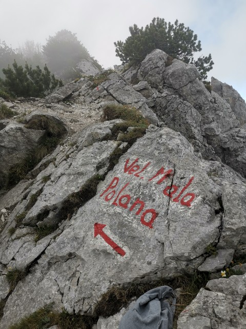 Dom pod Storžičem-Psica-Storžič-25.6.2021 - foto