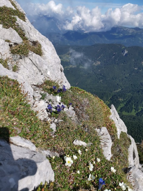 Dom pod Storžičem-Psica-Storžič-25.6.2021 - foto