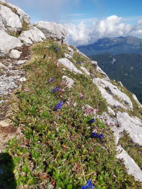 Dom pod Storžičem-Psica-Storžič-25.6.2021 - foto