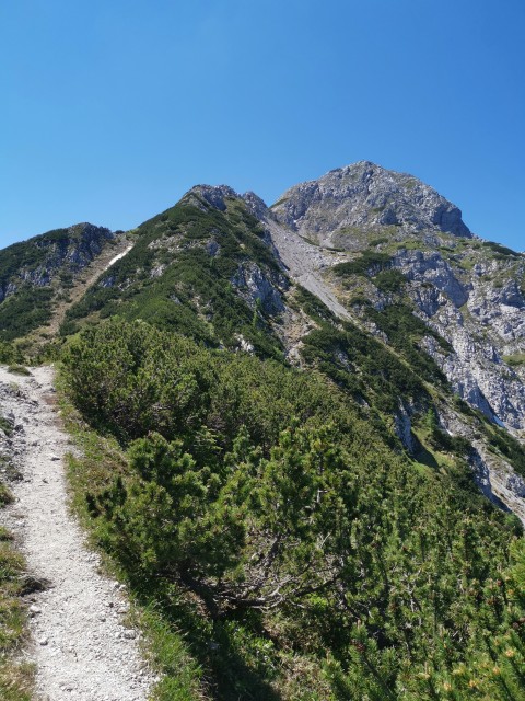 Dom pod Storžičem-Psica-Storžič-25.6.2021 - foto