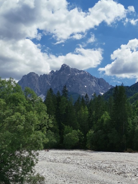 Dom pod Storžičem-Psica-Storžič-25.6.2021 - foto