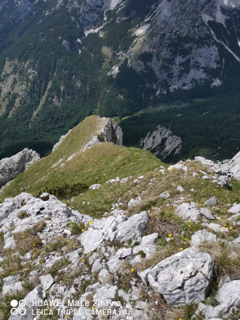 Vršič-grebenska pot-Prisojnik-3.7.2021 - foto