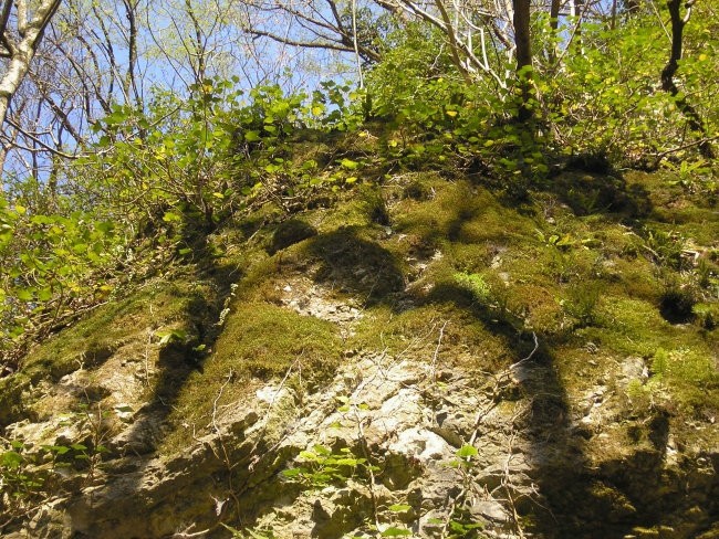 Pohod Blanca-Bohorski slapovi-Bohor 9.4.2007 - foto povečava