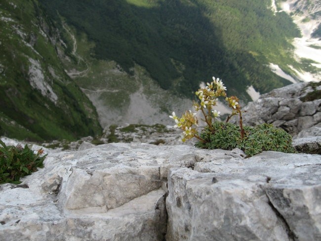 Mangart-R-4.8.2007 - foto povečava