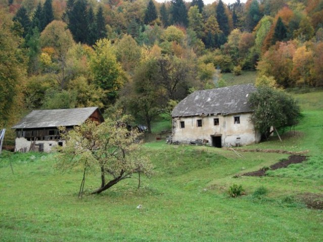 Kum iz škratove doline - 7.10.2007 - foto