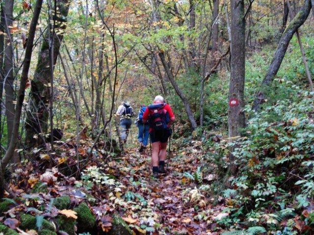 Kum iz škratove doline - 7.10.2007 - foto