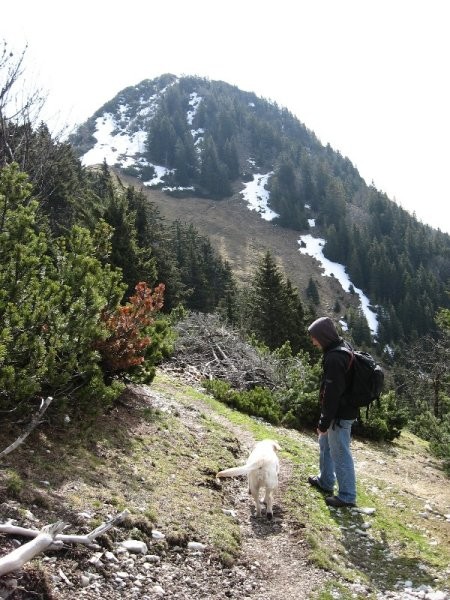 2008-04-26 Kriška gora - foto povečava