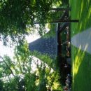 cherokee park, sem hodimo hranit rakune