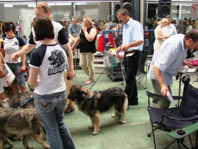 Euroshow Zagreb 2007 - foto