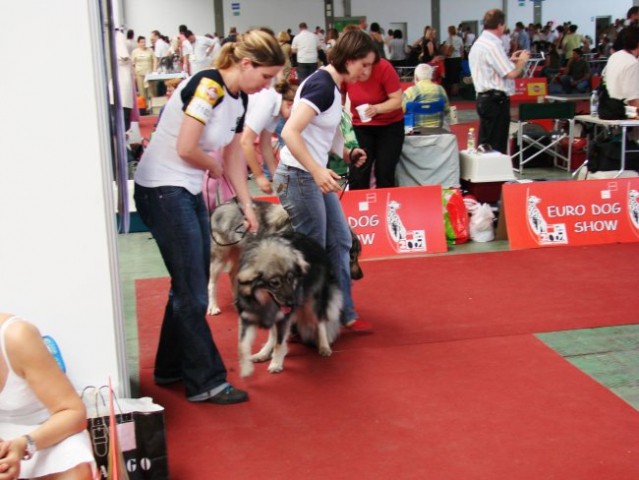 Euroshow Zagreb 2007 - foto