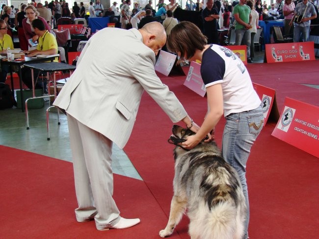 Euroshow Zagreb 2007 - foto povečava