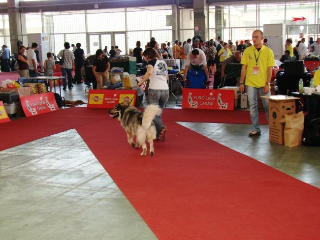 Euroshow Zagreb 2007 - foto povečava