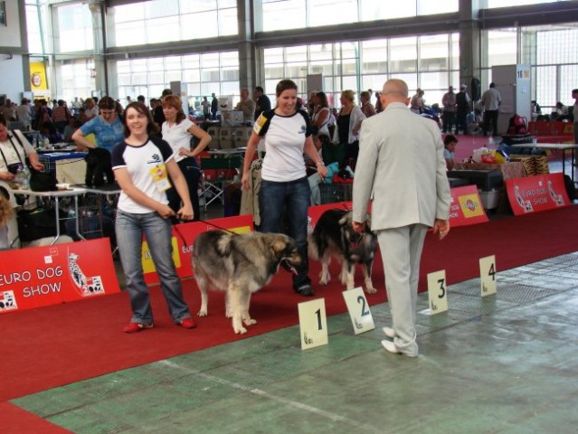 Euroshow Zagreb 2007 - foto