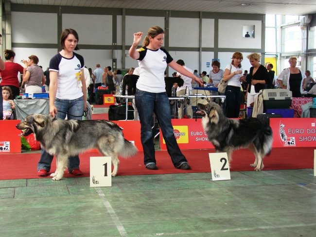 Euroshow Zagreb 2007 - foto povečava