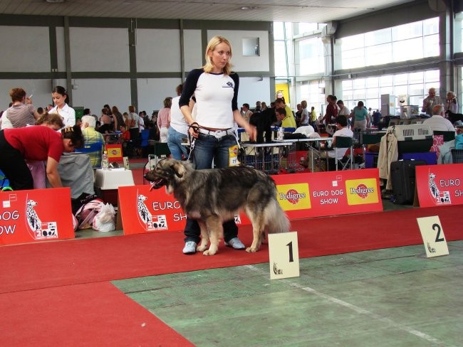 Euroshow Zagreb 2007 - foto povečava