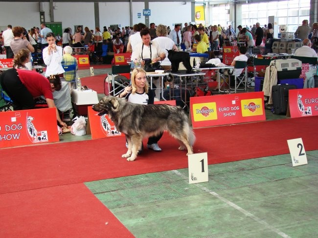 Euroshow Zagreb 2007 - foto povečava