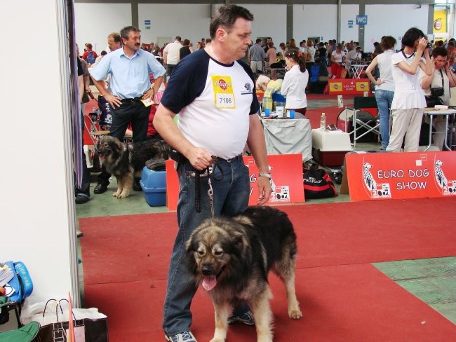 Euroshow Zagreb 2007 - foto povečava