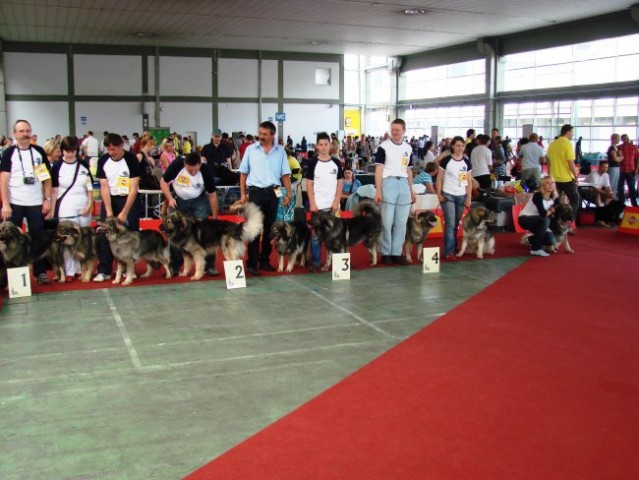 Euroshow Zagreb 2007 - foto