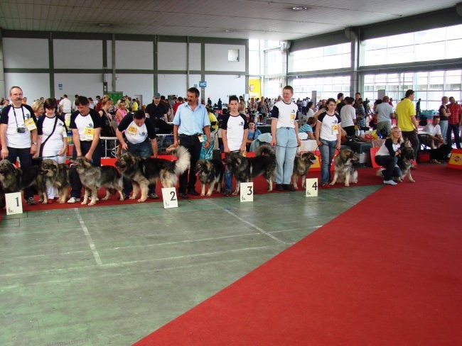 Euroshow Zagreb 2007 - foto povečava