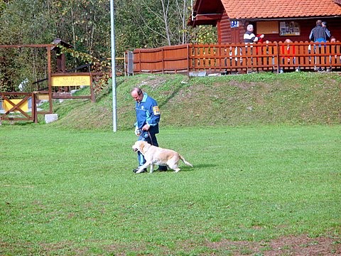 Tekmovanje šolanih psov v Duplici 2007 - foto