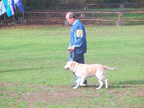 Tekmovanje šolanih psov v Duplici 2007 - foto povečava