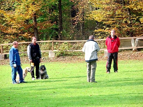 Tekmovanje šolanih psov v Duplici 2007 - foto