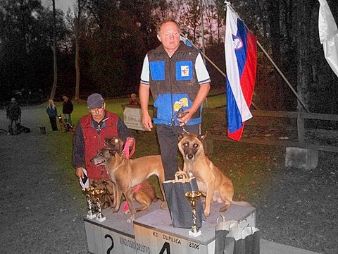 Tekmovanje šolanih psov v Duplici 2007 - foto povečava
