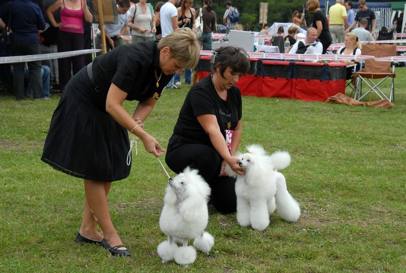 CAC Zasavje 2008 - foto povečava