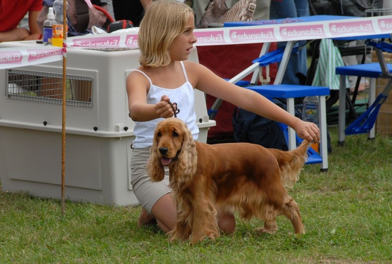 CAC Zasavje 2008 - foto povečava