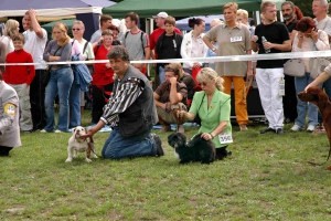 CAC Trbovlje 2006 - foto