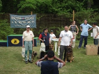 Regionalna tekma Trbovlje 2006 - foto povečava