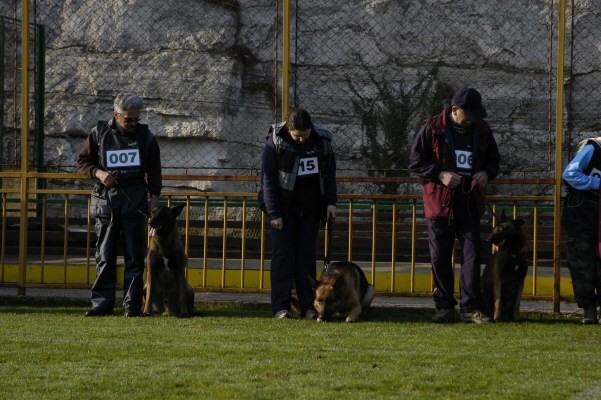 CACIT Pula - foto povečava