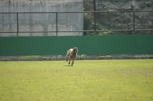 CACIT Pula - foto povečava