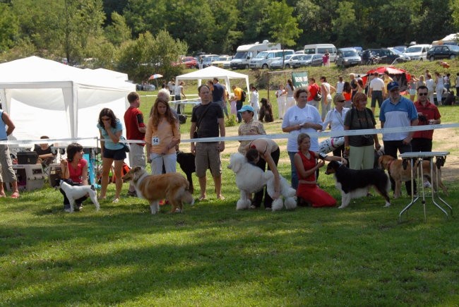 CAC Trbovlje 2007 - foto povečava