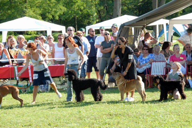 CAC Trbovlje 2007 - foto povečava