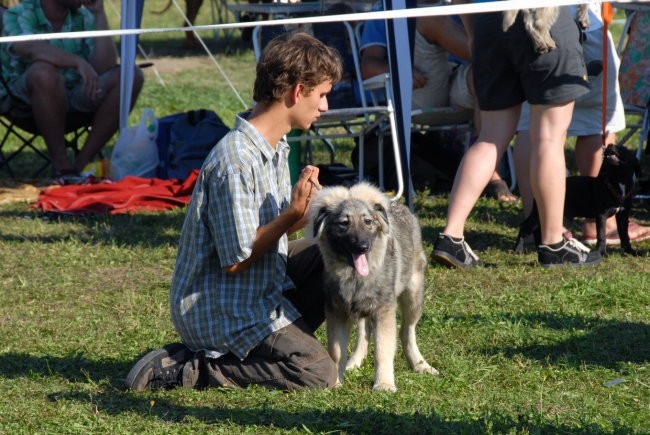 CAC Trbovlje 2007 - foto povečava